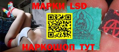 крисы Берёзовский