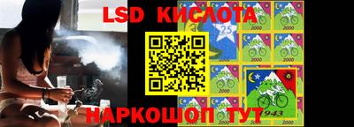 крисы Берёзовский