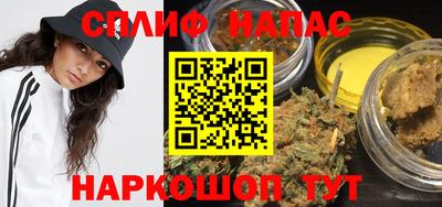 сатива Бийск
