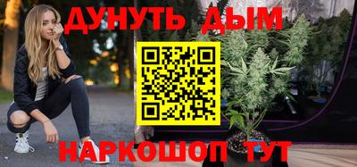 крисы Берёзовский