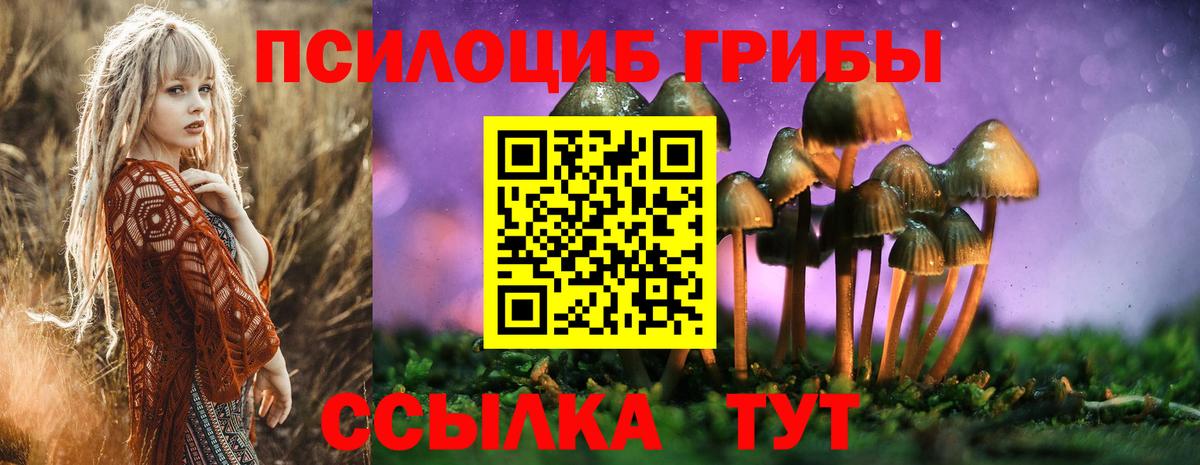 Галлюциногенные грибы прущие грибы  Вход с VPN  даркнет сайт  Камень-на-Оби 